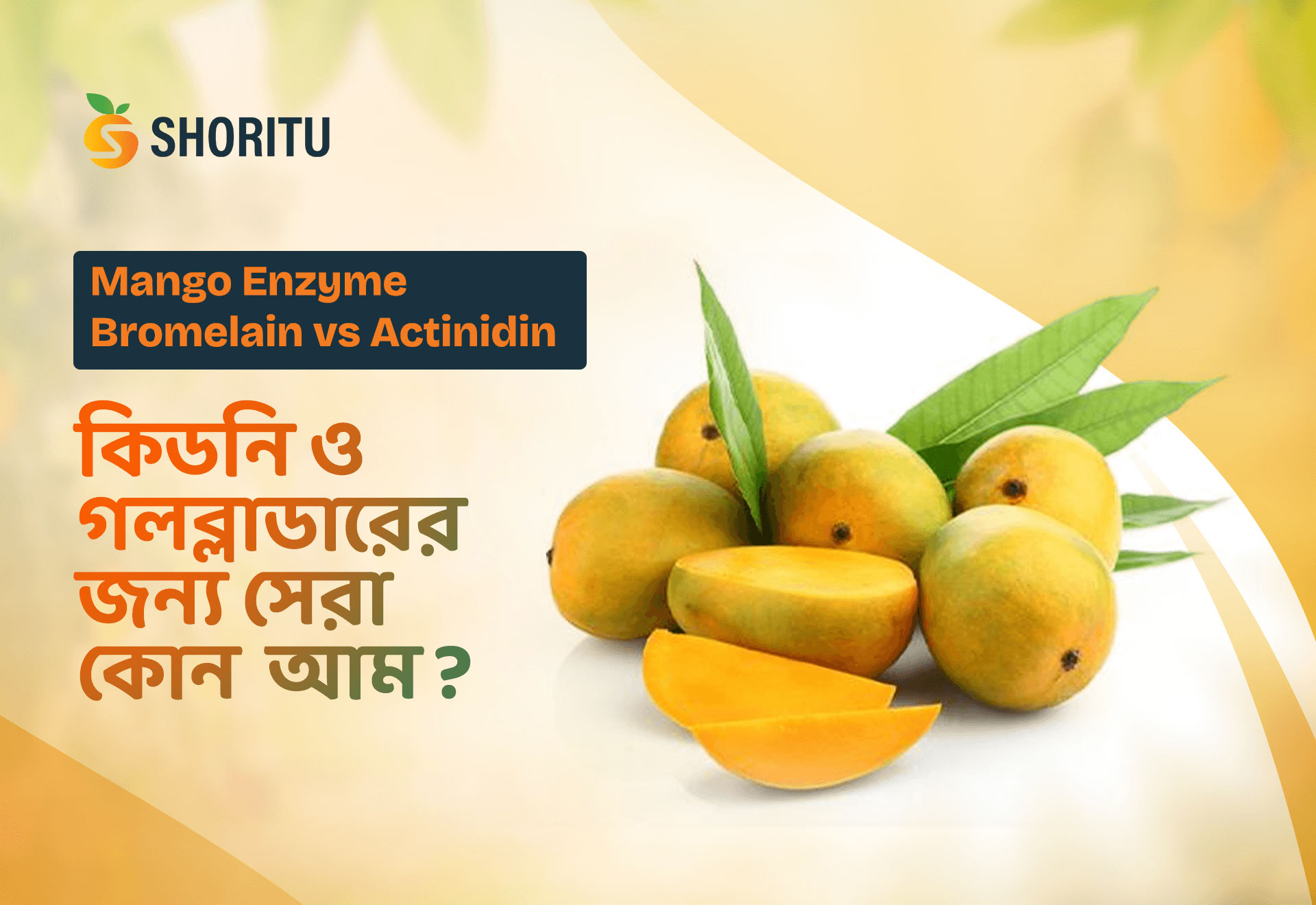 Mango Enzyme Bromelain vs Actinidin: কিডনি ও গলব্লাডারের জন্য সেরা কোন আম?