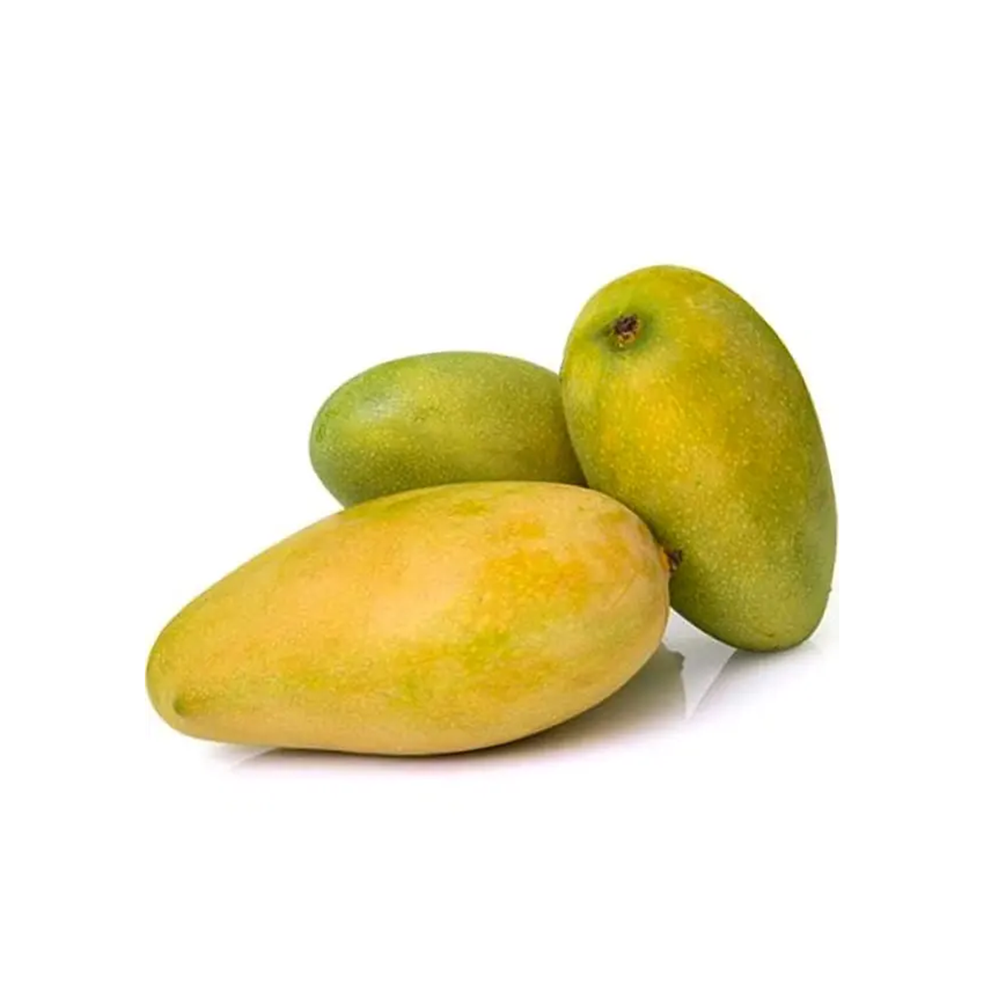 ৩. প্রিমিয়াম গুণমান